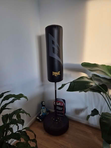 Photo of free Punch bag (Kingston KT2) #1