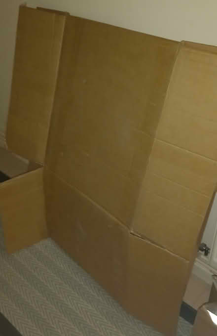 Photo of free 1 large collapsed cardboard box (GU21 St. John's, Woking) #1