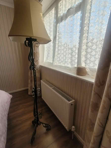 Photo of free Tall lamp, black metal frame (Morden) #1