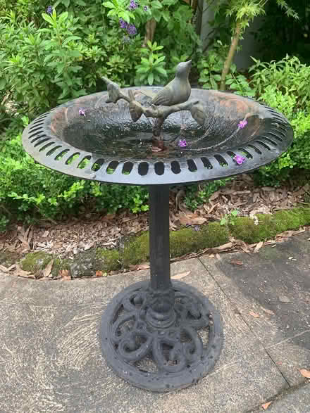 Photo of free wrought iron bird bath (Green Point) #1