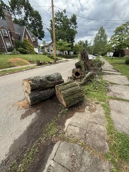 Photo of free 100+ year old maple wood (367 Riverview Dr, 15068) #1