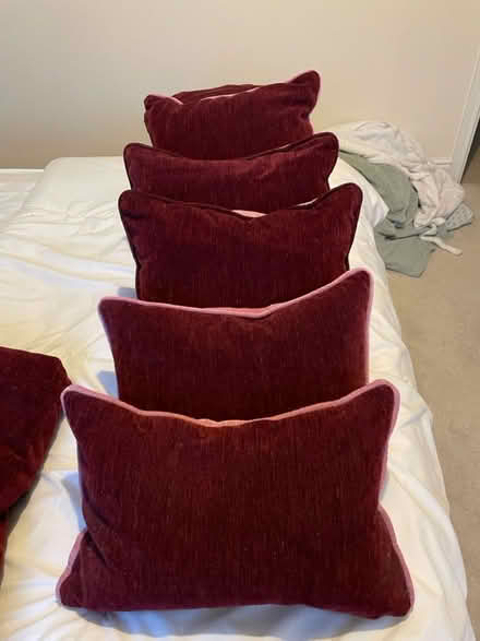 Photo of free Dark Red Curtain Set (Great Park - Melbury - NE3) #2