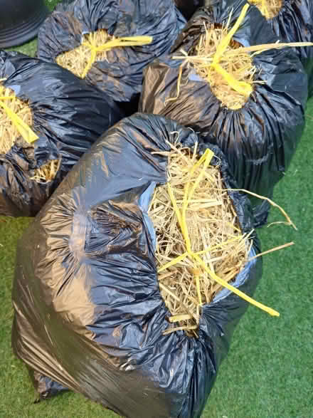 Photo of free Straw (Paulsgrove PO6) #1