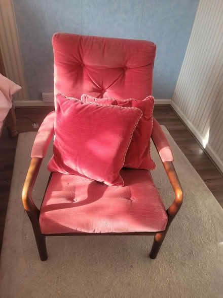 Photo of free Arm chair, Royal pink and wood (Morden) #1
