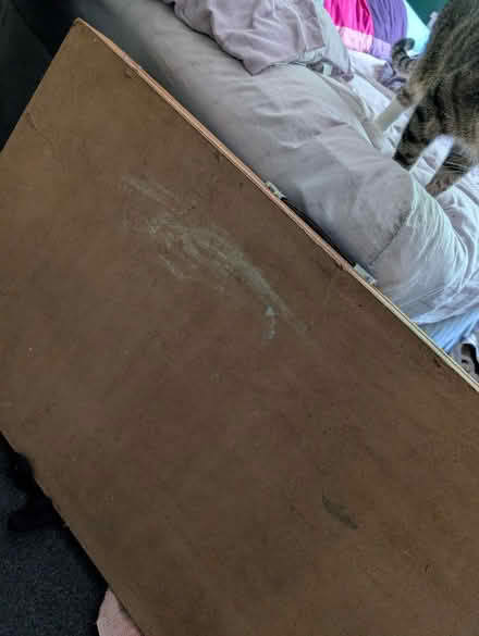 Photo of free Pasting table (Rutherglen G73) #1
