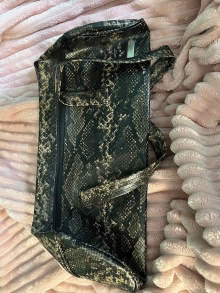 Photo of free Faux snake skin bag (Mohegan Lake) #1
