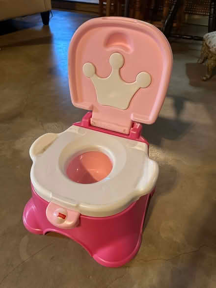 Photo of free Toddler potty and stool (Norwood Park) #1