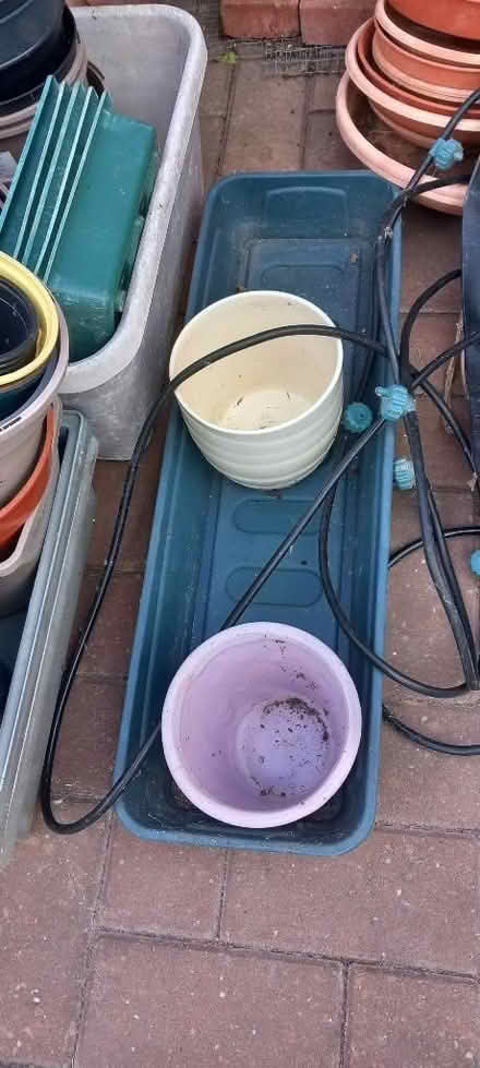 Photo of free Plant pots and trays (Southam CV47) #4