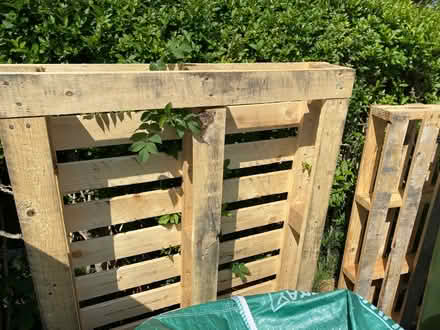 Photo of free Firewood x2 (WV3) #2