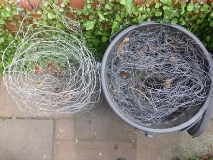 Photo of free 2 rolls of chicken wire (BS3 Southville) #1