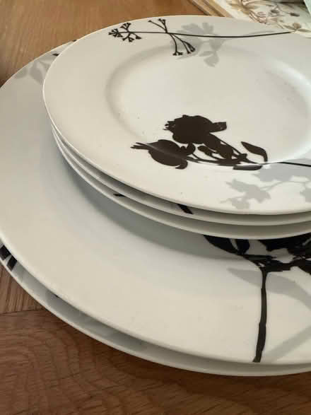 Photo of free Mixed plates (EH4) #3