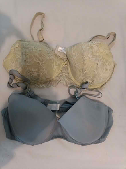 Photo of free Bras 38D (New Penshaw NE38) #1