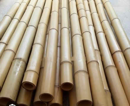 Photo of Bamboo sticks for garden (Shenley WD7) #1