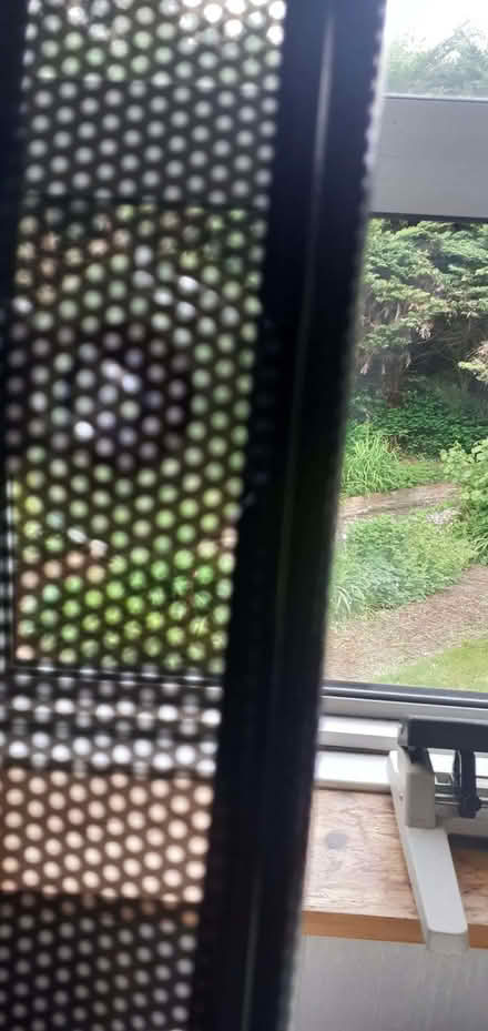 Photo of free Detachable window sun screen (Maidenhead SL6) #3