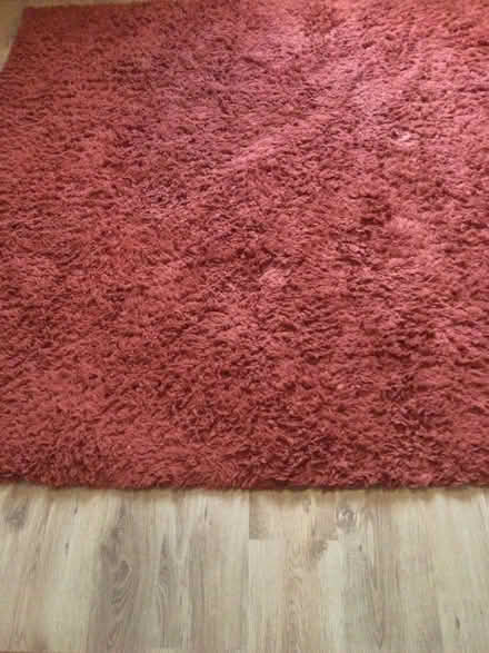 Photo of free Large rug (Stanley PH1) #1