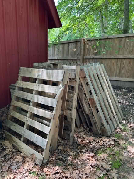 Photo of free Wooden Pallets (Adelphi) #2