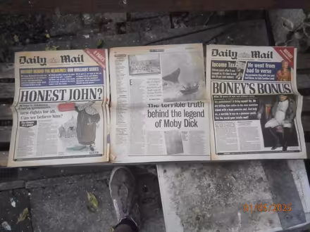 Photo of free Daily Mail histories (Keresley Newlands CV7) #3