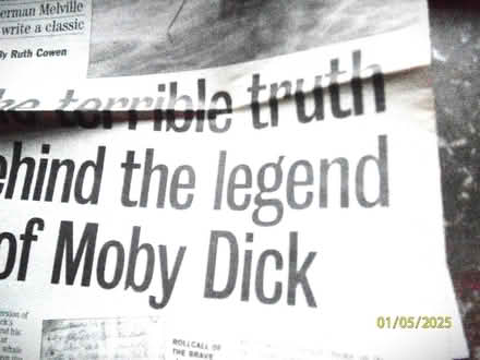 Photo of free Daily Mail histories (Keresley Newlands CV7) #1