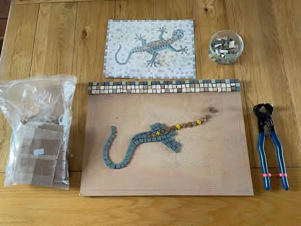 Photo of free Mosaic craft set gecko (Galgate LA2) #1