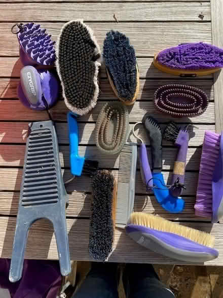Photo of free Horse grooming kit plus stuff (Melbourne North Brighton) #1