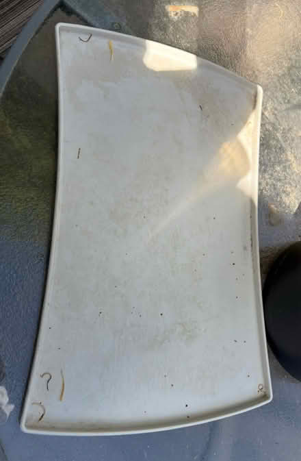 Photo of free Dog food mat (Bowie) #1