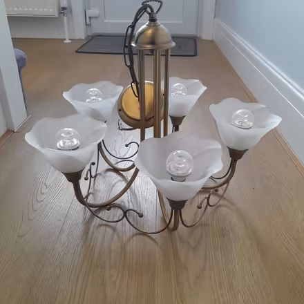 Photo of free Hanging Light (Havant PO9) #1