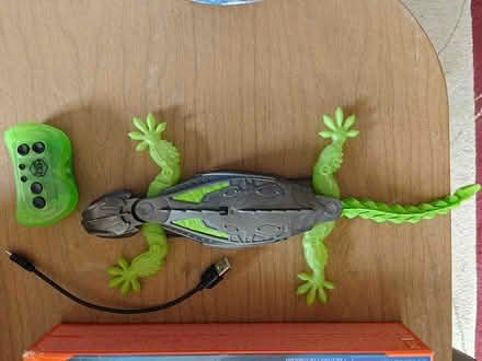 Photo of free Iguana wall crawler toy (Whitinsville, MA) #2