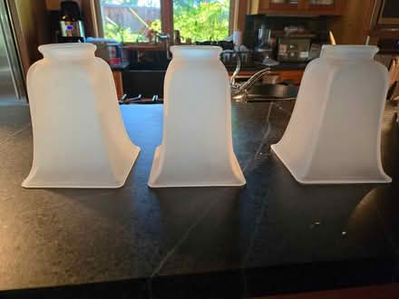 Photo of free 3 glass light fixture shades (Saratoga near the high school) #1