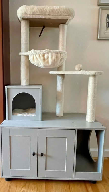 Photo of free Cat Palace (Sunnyvale Cherry Chase) #1