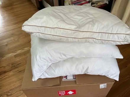 Photo of free 3 bed pillows (Table Mesa, Boulder) #3