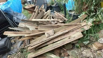Photo of free Wood and concrete (Nottingham) #3