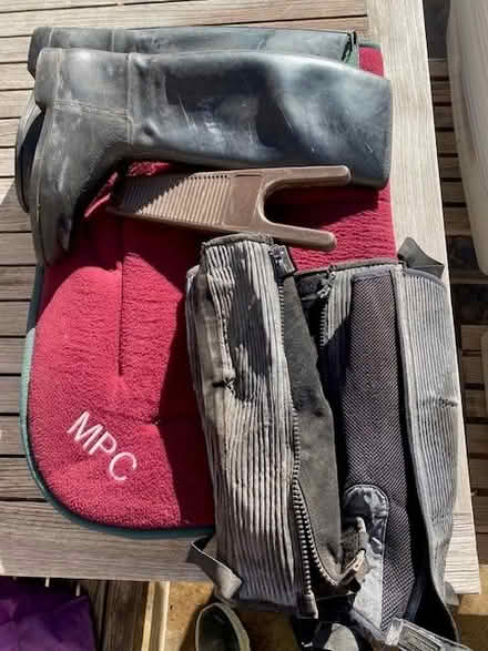 Photo of free Horse grooming kit plus stuff (Melbourne North Brighton) #2
