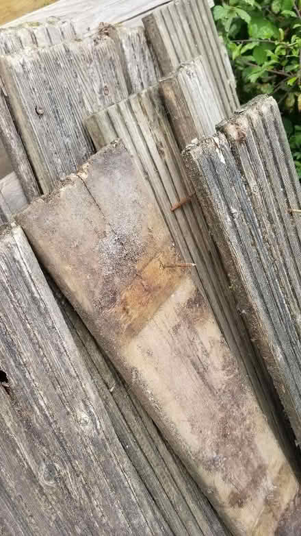 Photo of free Decking (Binfield RG42) #3