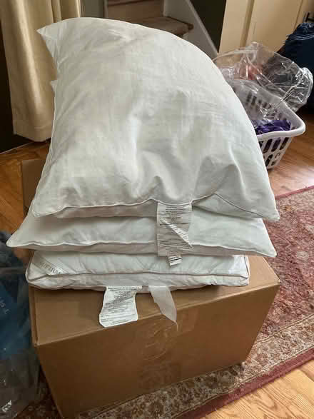 Photo of free 3 bed pillows (Table Mesa, Boulder) #1
