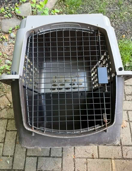 Photo of free Dog crate (Bowie) #1