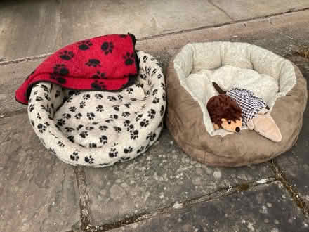 Photo of free Dog beds and toys (Westcott RH4) #1