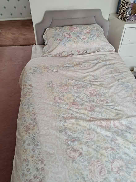 Photo of free Single divan bed (Rushden Northamptonshire) #1
