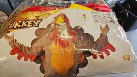 Photo of free Turkey costume (Haymarket Va) #1