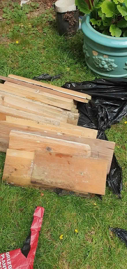 Photo of free Wood For Birds Nests/Boxes (Hengistbury Head BH6) #2