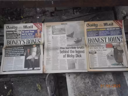 Photo of free Daily Mail histories (Keresley Newlands CV7) #4