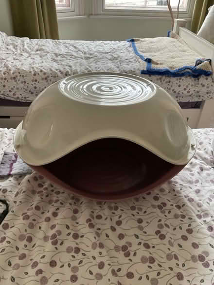 Photo of free Cat house/litter tray (West Hill TN34) #1