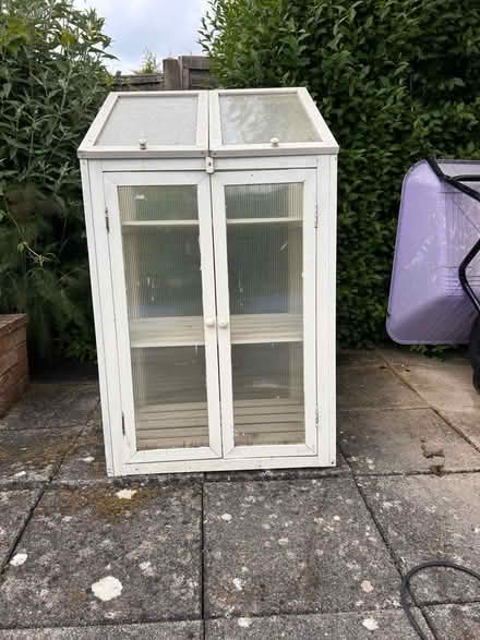 Photo of free Mini Greenhouse (Winkfield Row SL5) #1