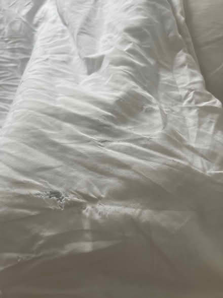 Photo of free Duvet (Small Double/Large Single) (NW107FX) #3