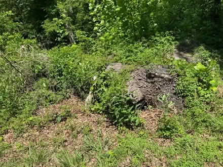 Photo of free firewood (Hickory NC) #3