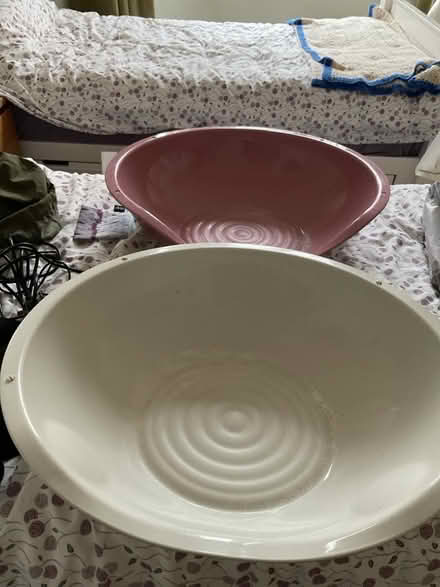 Photo of free Cat house/litter tray (West Hill TN34) #2