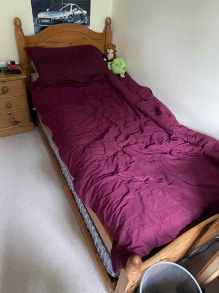 Photo of free Single bed, with push under single (Southwater RH13) #1