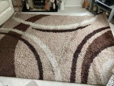 Photo of free Large rug (Petersfield GU31) #2