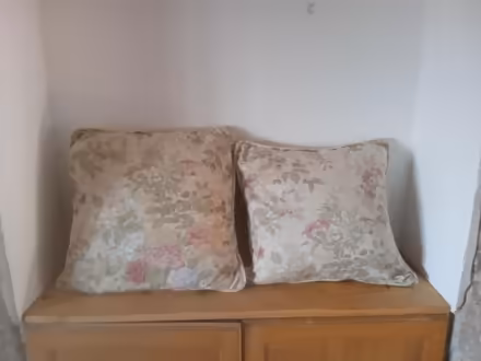 Photo of free Cushions (Higher Bebington CH63) #1