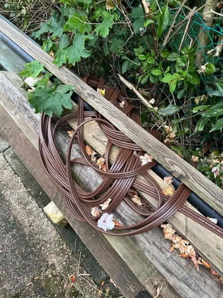 Photo of free soaker hose (Lostock Hall PR5) #1
