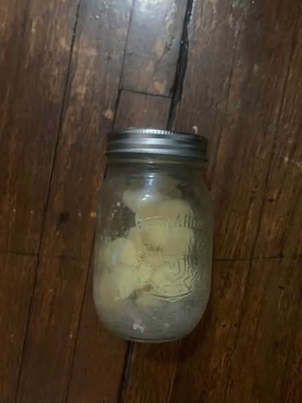 Photo of free White cocoa butter (Delaware & Davenport) #1